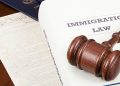 Repeal All Immigration Laws Stripping Court Review