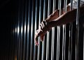 Study: More Parole Doesn’t Mean More Safety — It May Mean More Prison