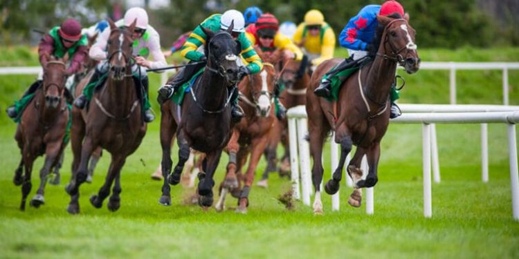 How Digital Innovation is Rewriting the Business of British Horse Racing