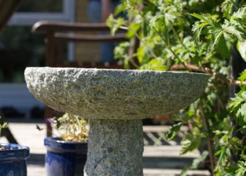 The Sensory Garden: The Wellbeing Trend Designing for Sound, Scent and Touch
