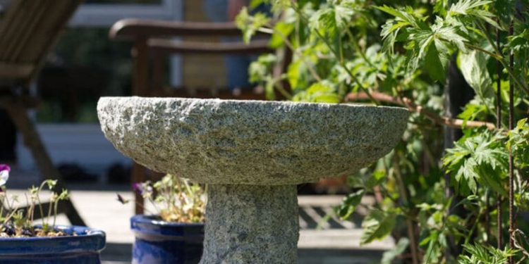 The Sensory Garden: The Wellbeing Trend Designing for Sound, Scent and Touch