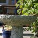 The Sensory Garden: The Wellbeing Trend Designing for Sound, Scent and Touch