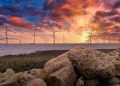 Crown Estate’s payout to the Treasury halves as the offshore wind windfall fades