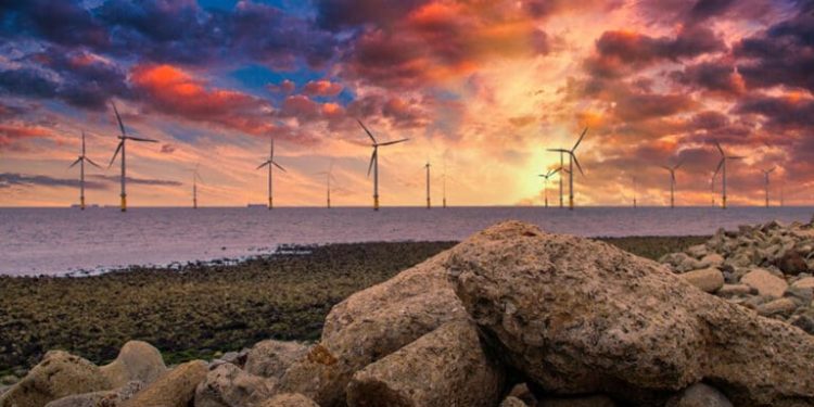 Crown Estate’s payout to the Treasury halves as the offshore wind windfall fades