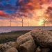 Crown Estate’s payout to the Treasury halves as the offshore wind windfall fades