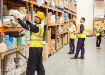 Efficient Parcel Dispatch for Your Webshop: A Practical Guide