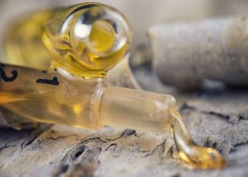From Batch Risk to Brand Strength With the Right Oil Packaging