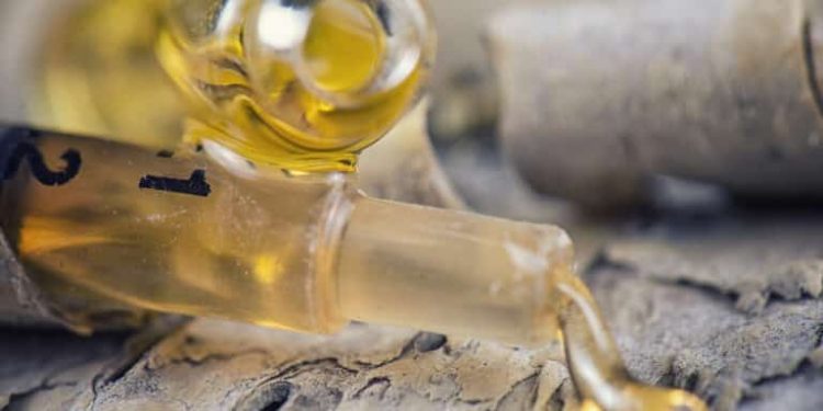 From Batch Risk to Brand Strength With the Right Oil Packaging