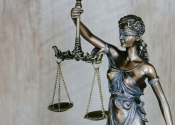 Michael Pogue on Building a Legal Career Through Judgment and Clear Thinking