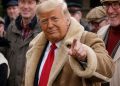 Hot tip, guv? Trump, Truth Social and insider trading on subscription