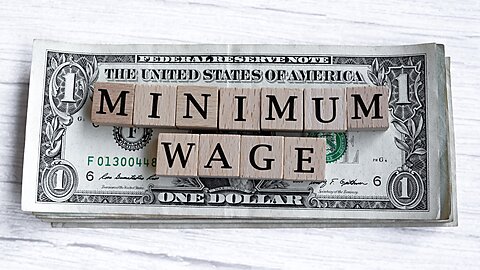 The Economics of Sector-Specific Minimum Wages