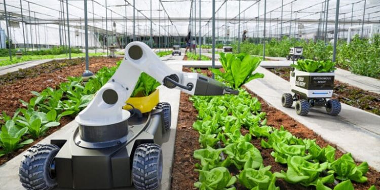Robotic harvesting pioneer Dogtooth secures £14m to help growers beat labour shortages