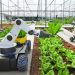 Robotic harvesting pioneer Dogtooth secures £14m to help growers beat labour shortages