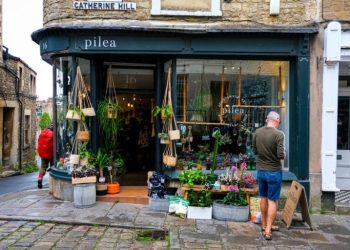 One in three small firms expect to shrink, sell up or close