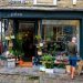One in three small firms expect to shrink, sell up or close