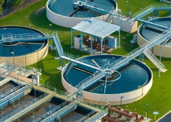 Water fleas, moon tech and sewage-eating larvae win £100,000 apiece