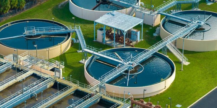 Water fleas, moon tech and sewage-eating larvae win £100,000 apiece