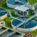 Water fleas, moon tech and sewage-eating larvae win £100,000 apiece