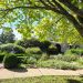 The Liability Growing Quietly on Your Land: Why Trees Belong on the Risk Register