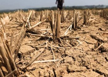 NatWest offers farmers repayment holidays as drought hits yields