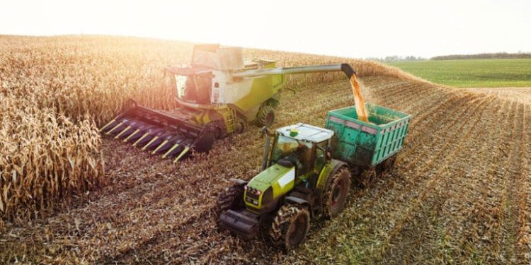 Food prices to rise into 2027 as drought hits UK crops, says FDF