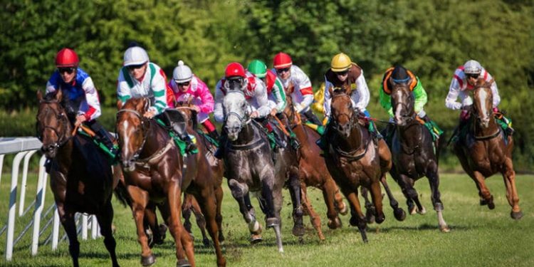 Best Betting Sites Ireland 2026: Top Sportsbooks Compete for Irish Bettors