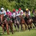 Best Betting Sites Ireland 2026: Top Sportsbooks Compete for Irish Bettors