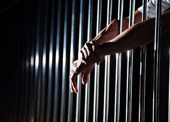 Nielsen v. Watanabe Brief: The Constitution Is Enough to Sue Federal Agents