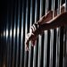 Nielsen v. Watanabe Brief: The Constitution Is Enough to Sue Federal Agents
