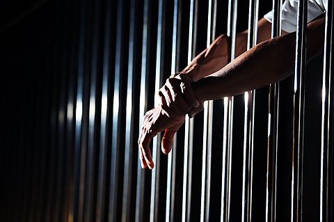 Nielsen v. Watanabe Brief: The Constitution Is Enough to Sue Federal Agents