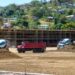 British firms set to win £330m of contracts in Guinea and Benin