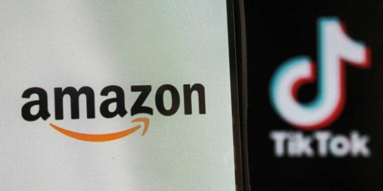 MPs press Amazon and TikTok to send witnesses to online marketplaces hearing