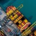 Why international trade corridors are attracting a new wave of digital enterprises