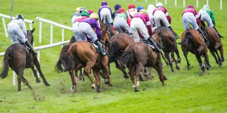 Which sportsbooks offer 2nd by a nose refunds?